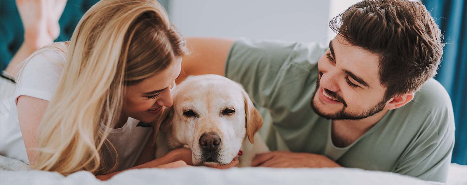 Dog after visiting Animal Clinic of Benicia
